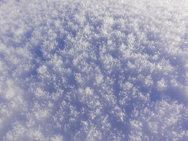 Swiss pasture covered in fresh powder snow