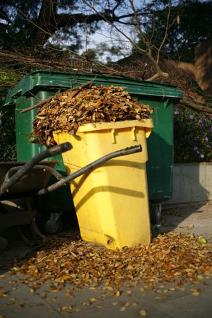 Garbage bin full of dead leaves