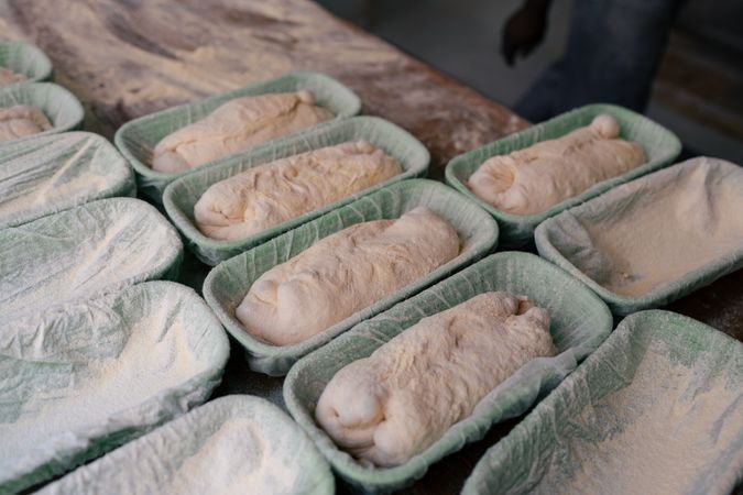 Portrait of several bread doughs on mold
