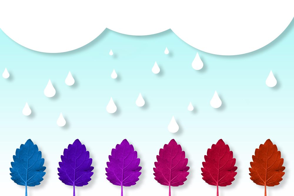 Multi colored leaves lined up in faux forest scene