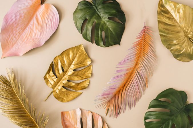 Assortment of colorful leaves on beige background