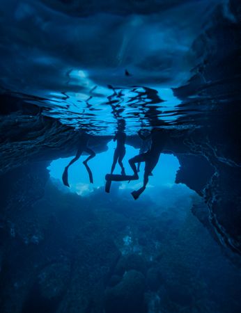 People diving under water