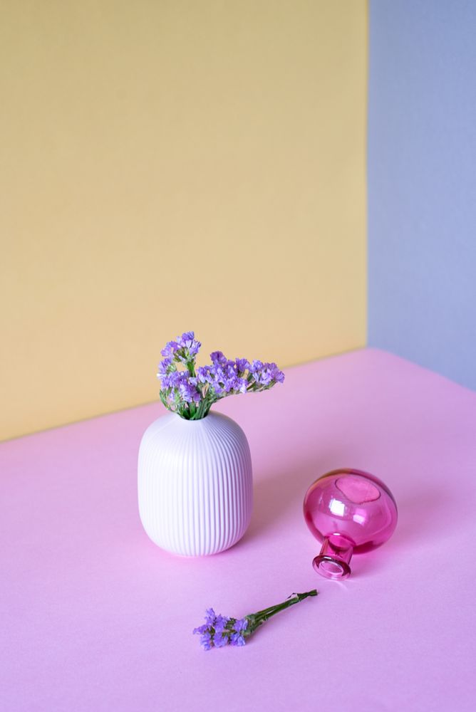 Violet sea lavender flowers in a multicolor background
