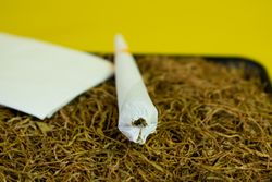 Rolled cigarette on loose tobacco
