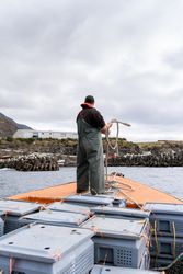 Fisherman on a lobster fishing boat mooring the boat