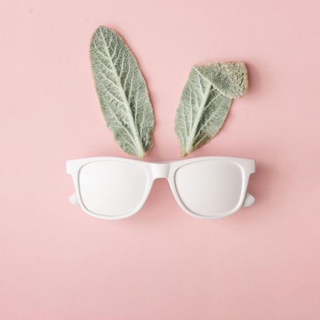 Bunny rabbit face made of natural green leaves with sunglasses on pink background