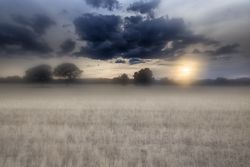 Blurry landscape of tranquil field in overcast