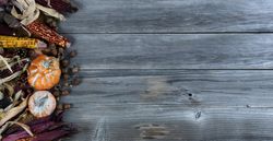 Autumn or fall decor for the holidays
