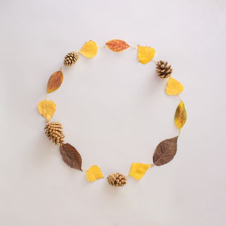 Seasonal flat lay of red and yellow leaves in a circle on plain background