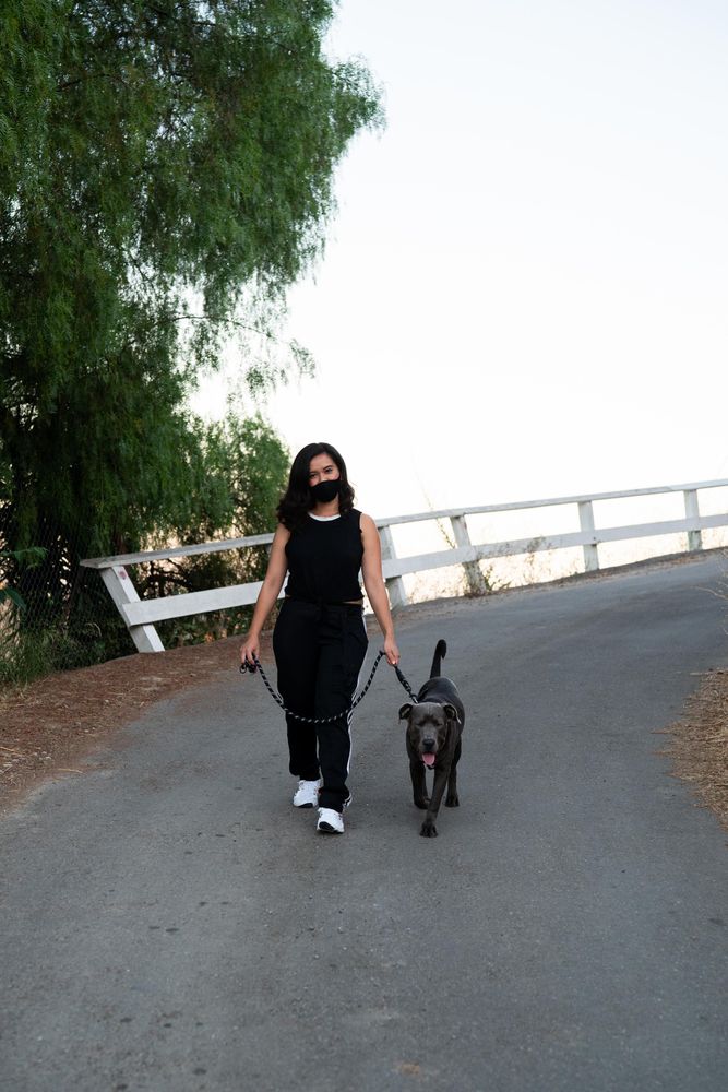 Woman walking her dog in the late afternoon on the street