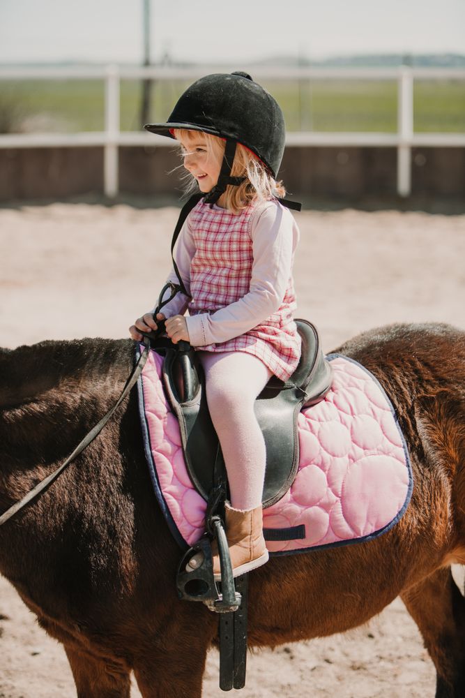 Little happy girl riding horse on hippodrome