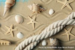 Starfish, seashells and rope on sea sand background, close up 5oDPXk
