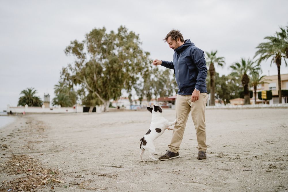 Owner playing with dog on beach