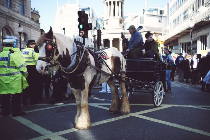 London, England, United Kingdom - March 19 2022: Horse and carriage going through London during prot