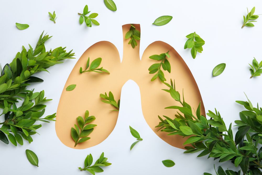 Paper lung shape in beige surrounded by green foliage