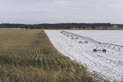 A half harvested, half snowy field