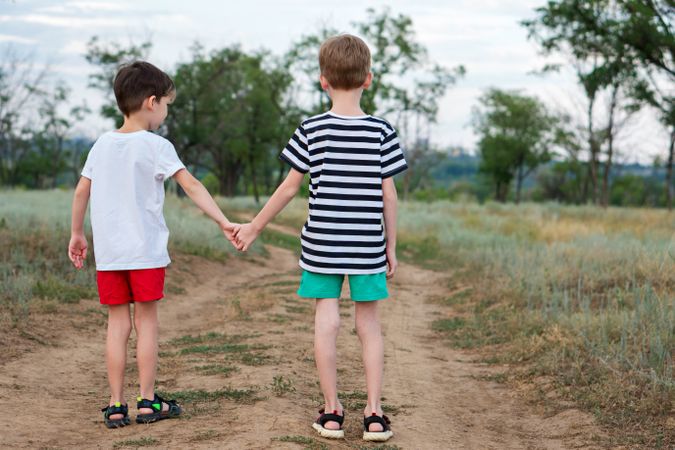 Two little brothers walking in countryside