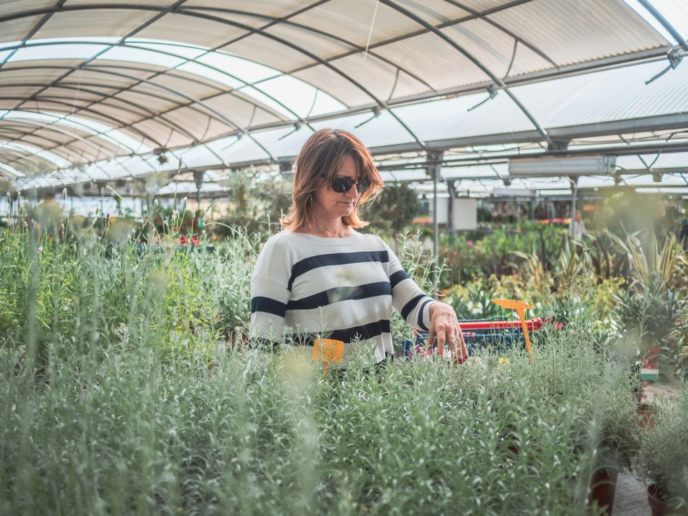 Thoughtful female choosing flowers on market