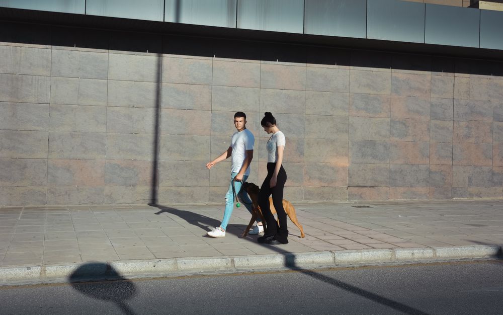 Couple walking and playing with their dog