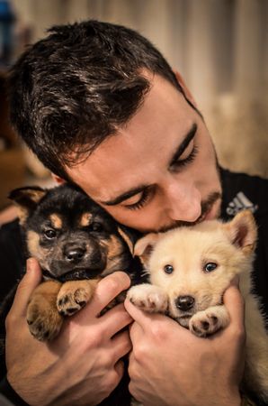 Man holding two puppies