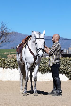 Man in checkered shirt fastening reins on horse on sandy ground