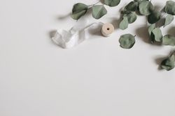 Dry eucalyptus tree leaves, branches and silk ribbon isolated on table with copy space