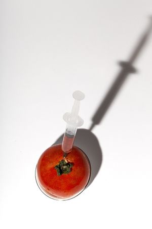 Paint injection into ripe tomato