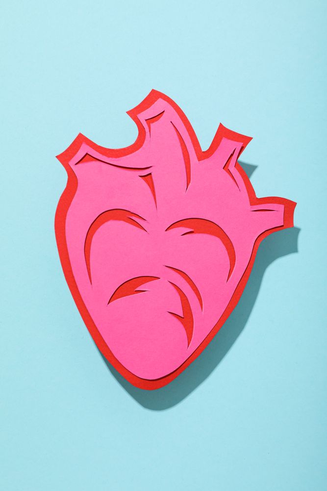 The concept of treatment of cardiovascular diseases.