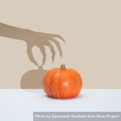 Shadow of a hand reaching for a squash 4ZEV95