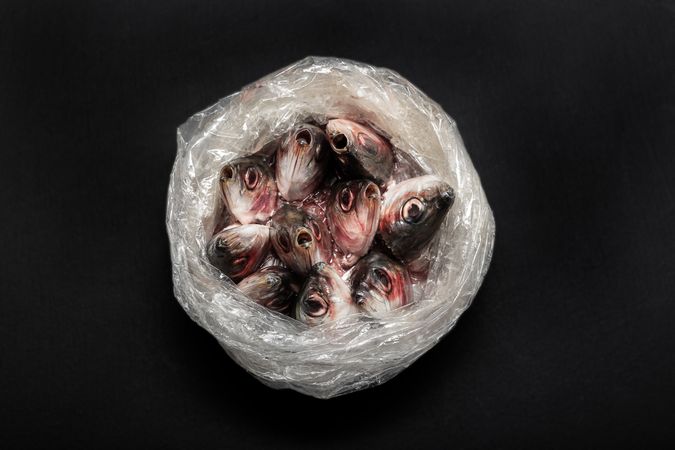 Open plastic bag with fish inside