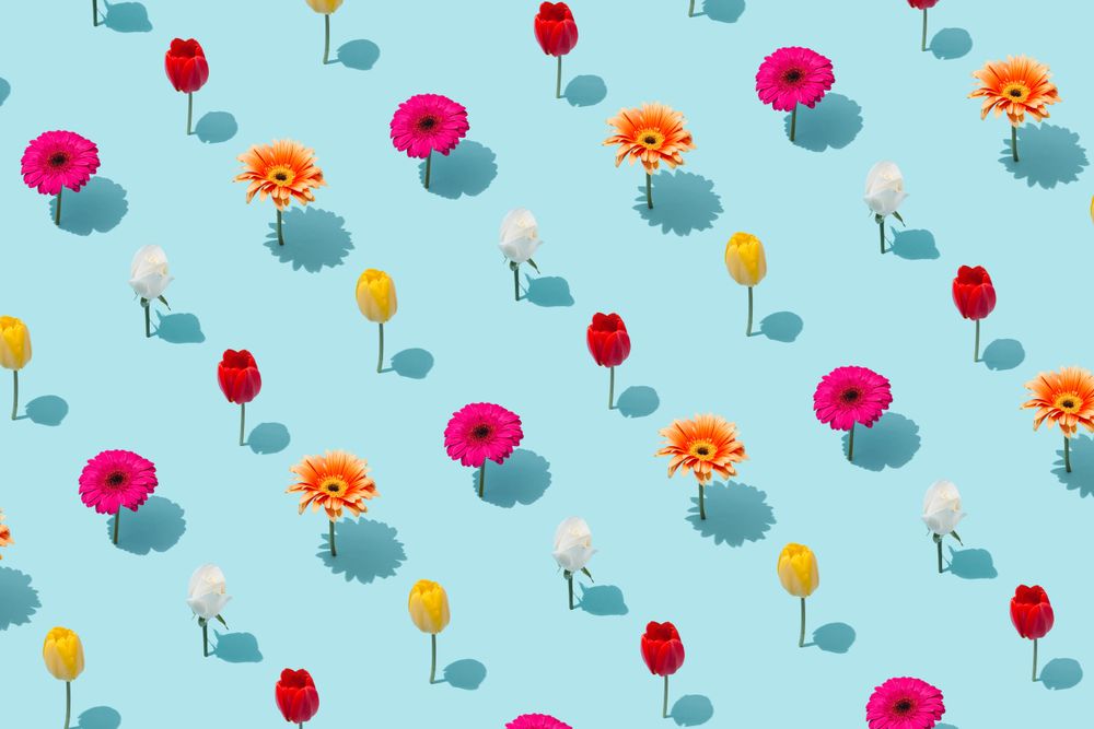 Red, pink, orange and yellow flower pattern
