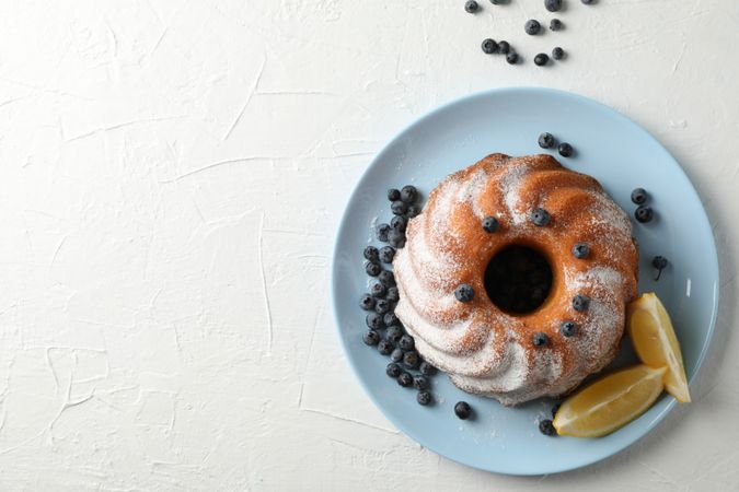 Cake with powdered sugar, blueberry and lemon on plain background, copy space