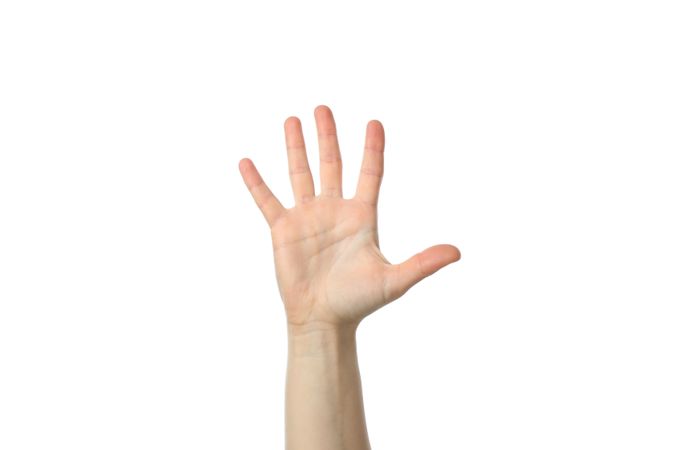 Female hand isolated on plain background. Gestures