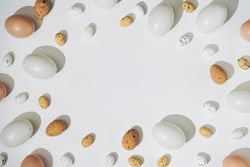 Natural shades of eggs bordering light background