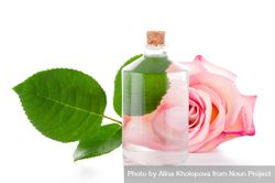 Rose water bottle on bright background with rose and leaves 5rakP0