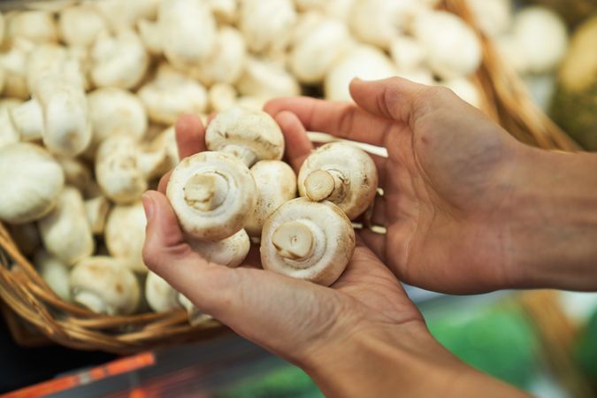 Female hands with catching mushrooms from a basket