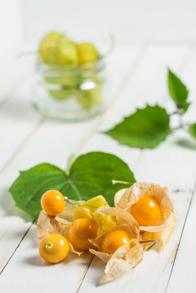 Physalis fruit (Physalis peruviana) also called uchuva, or gold berries, native of Peru, on a wooden board with leaves.