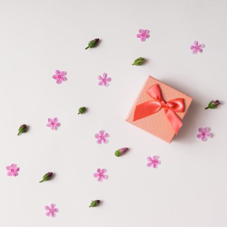 Gift box with pink flowers and buds pattern on light background
