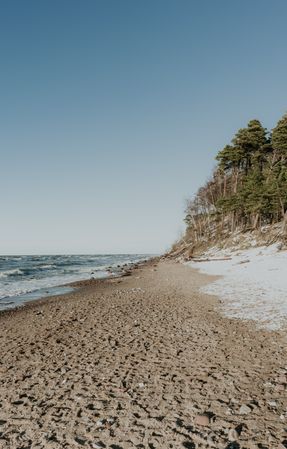 Seashore near green forest in snow