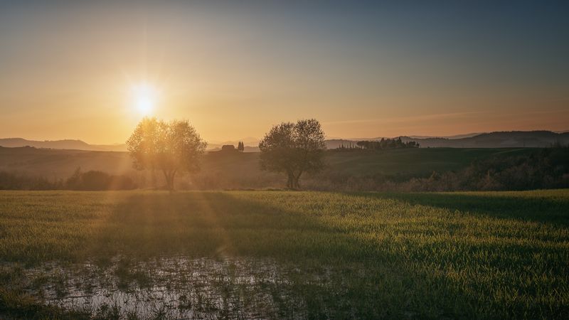 Wonderful empty green fields