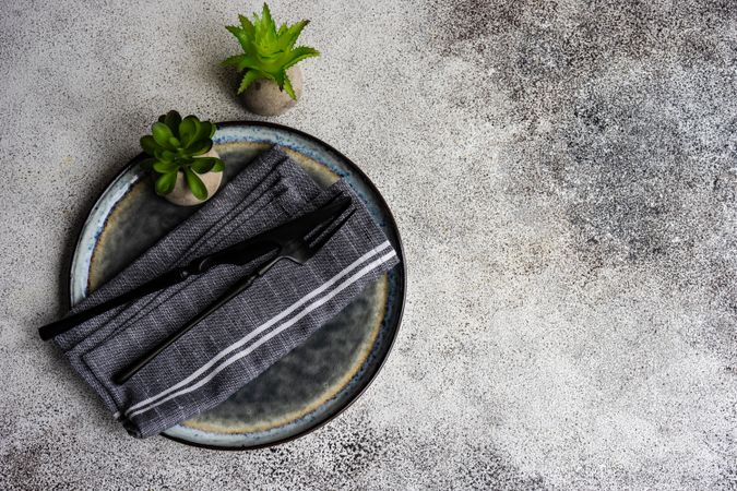 Table setting on concrete background with succulents