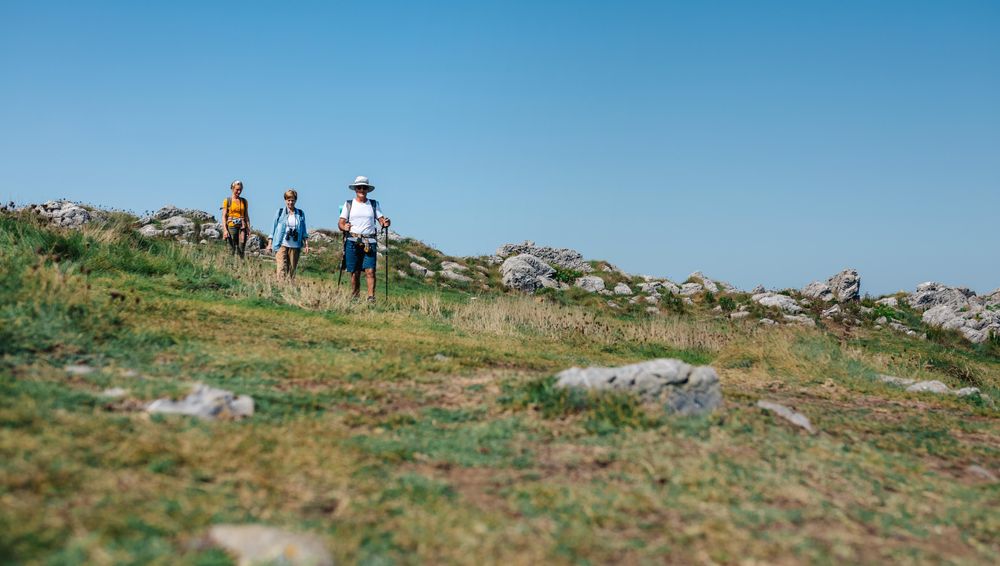 Three adults hiking on hill