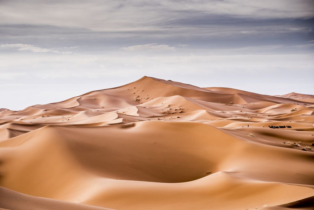 Sand dunes in Sahara desert