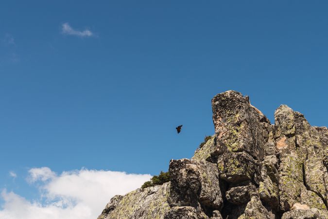Bird soaring in blue sky above stones