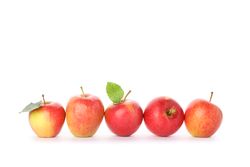 Sweet red apples isolated on light background