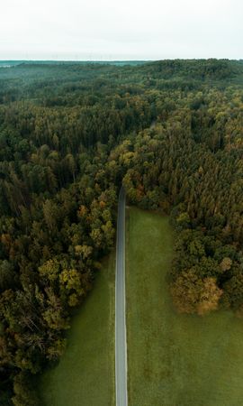 Drone vertical panorama with road in the Forest, Germany