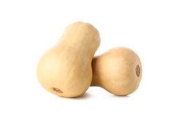 Fresh butternut squash isolated on neutral background
