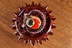 Scallops served in bowl on table
