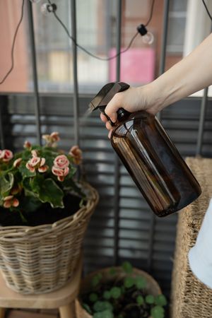 A woman's hand sprays flowers with water