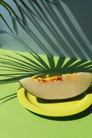 Melon toad skin cut into slices Colorful summer theme